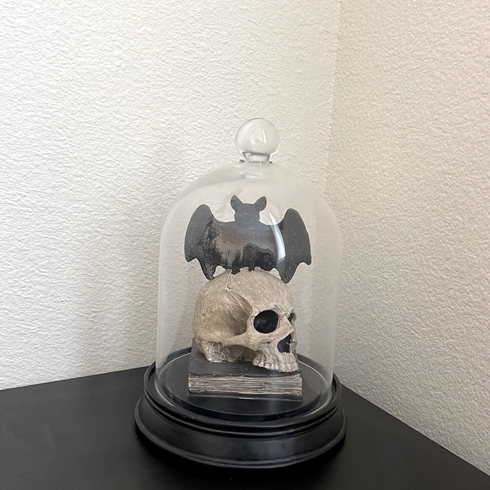Martha Stewart Skull and bat in cloche